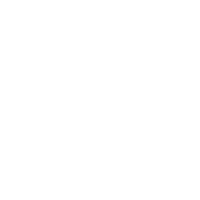 trisomy-icon